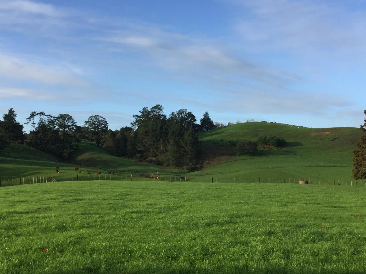 Veld View Bed And Breakfast Tuakau エクステリア 写真