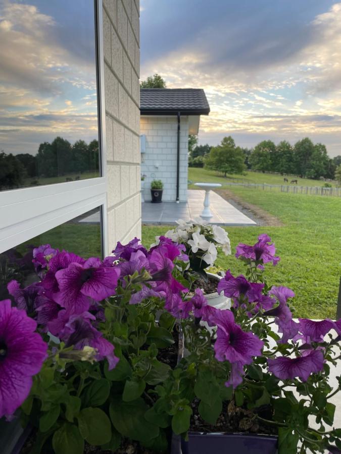 Veld View Bed And Breakfast Tuakau エクステリア 写真