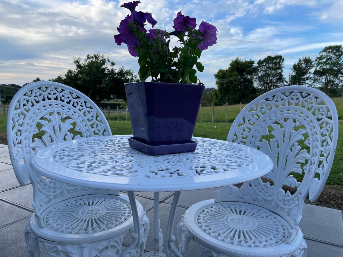 Veld View Bed And Breakfast Tuakau エクステリア 写真