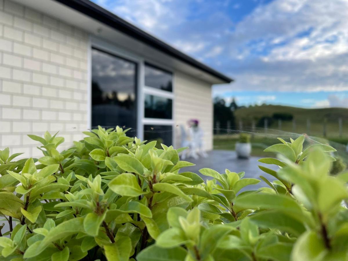 Veld View Bed And Breakfast Tuakau エクステリア 写真