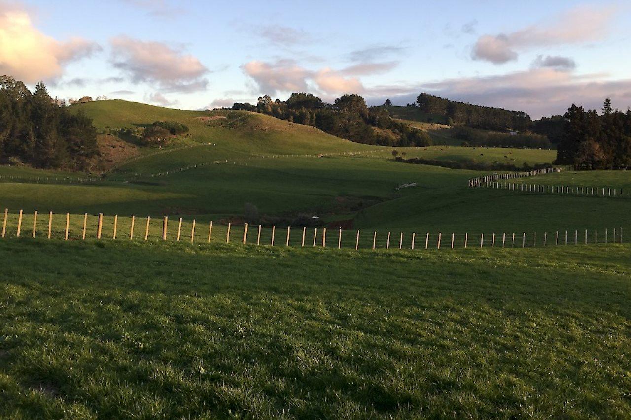 Veld View Bed And Breakfast Tuakau エクステリア 写真